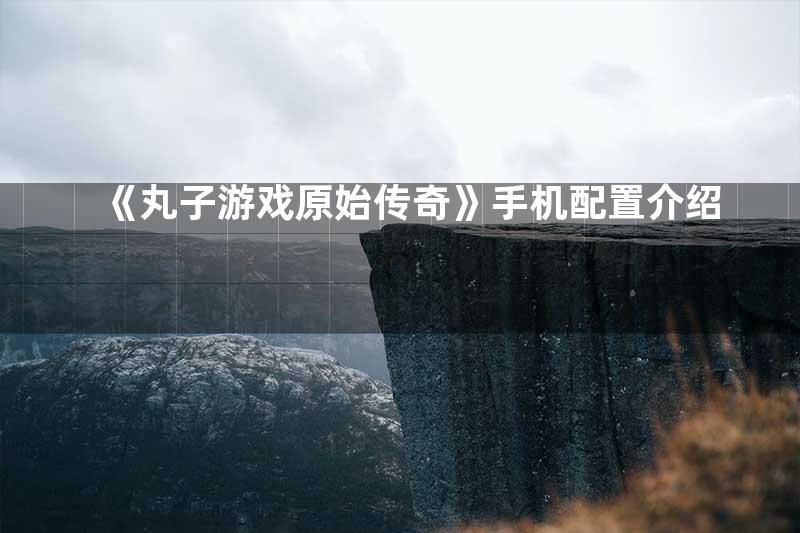 《丸子游戏原始传奇》手机配置介绍