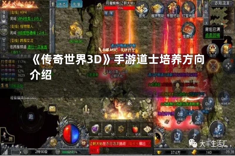 《传奇世界3D》手游道士培养方向介绍