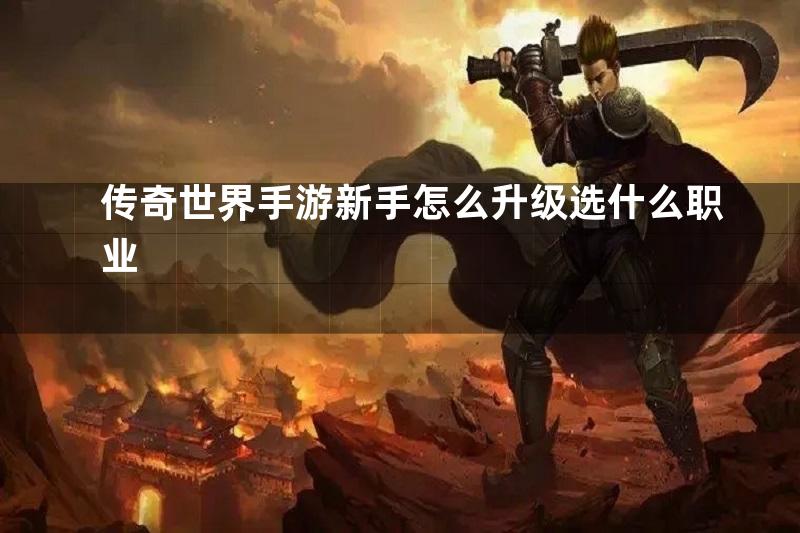 传奇世界手游新手怎么升级选什么职业