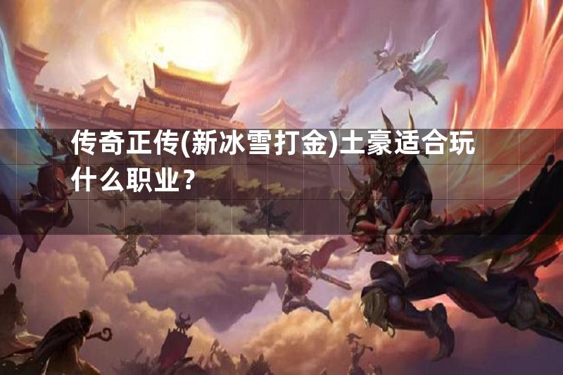 传奇正传(新冰雪打金)土豪适合玩什么职业？