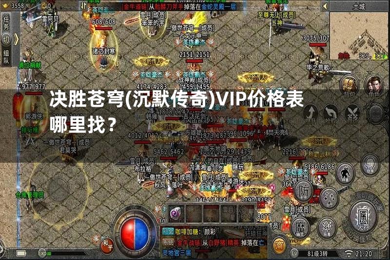 决胜苍穹(沉默传奇)VIP价格表哪里找？