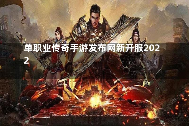 单职业传奇手游发布网新开服2022