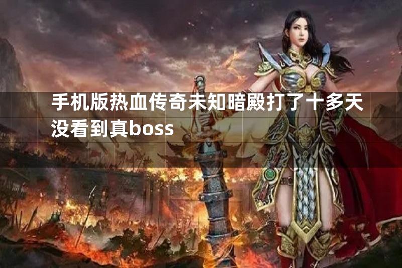 手机版热血传奇未知暗殿打了十多天没看到真boss