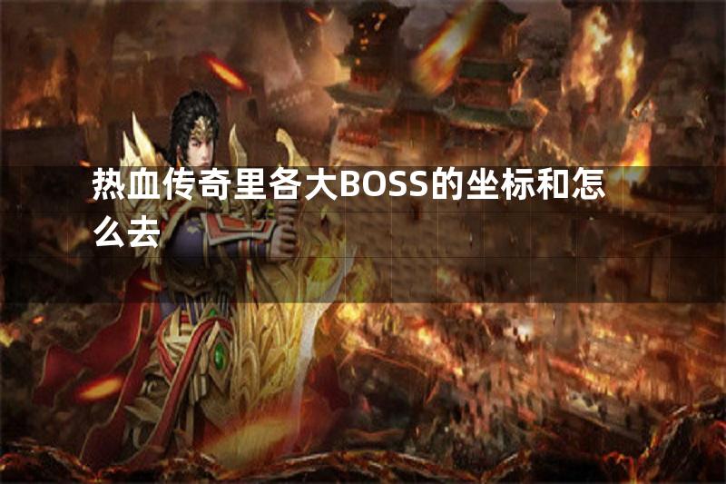 热血传奇里各大BOSS的坐标和怎么去